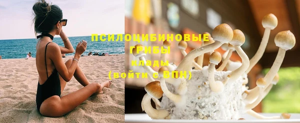 Альфа ПВП Лиски