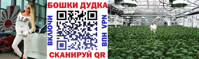 Конопля конопля Барнаул